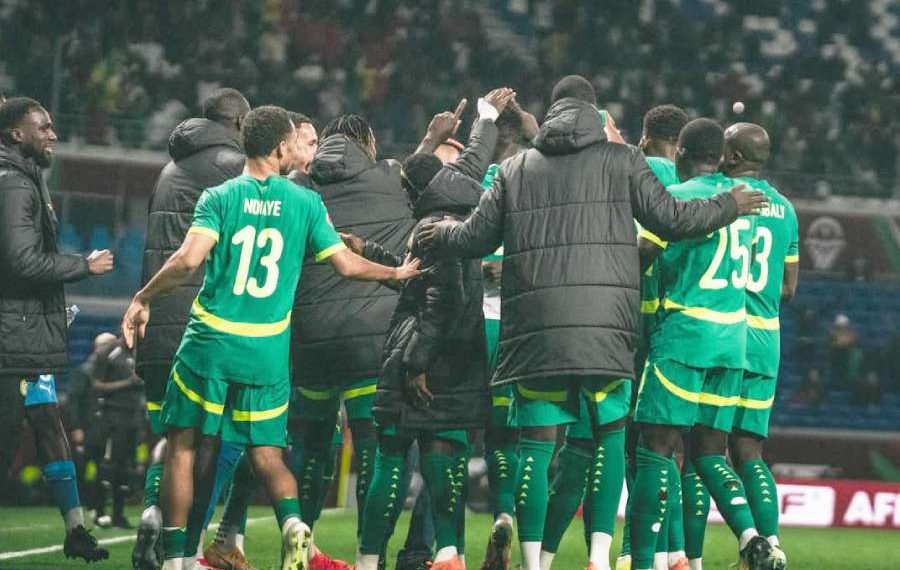 Lions de la Teranga