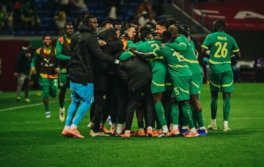 Lions de la Teranga