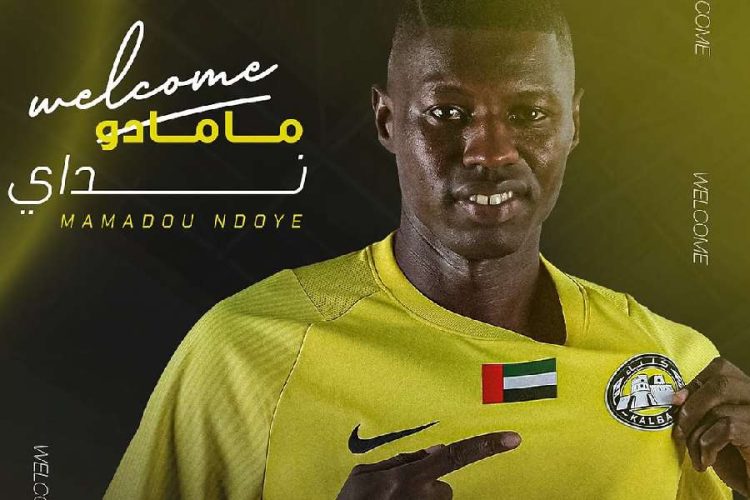 Mamadou Ndoye