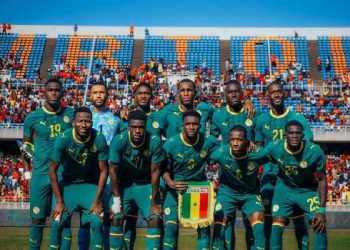Les Lions de la Téranga